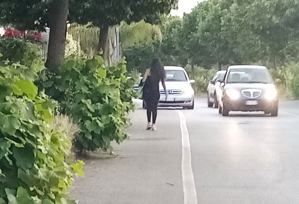 Lamezia, Piccioni: "Via Martiri di Nassirya invasa da erbacce, scontiamo ritardi dell’amministrazione"