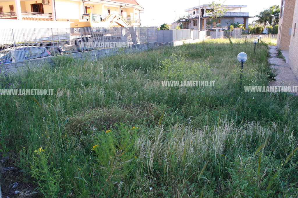 via-oleandri6.jpg