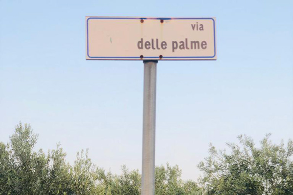 Lamezia, "mancanza di acqua e rete fognaria in via delle Palme": l'appello di Gianturco e dei residenti della zona