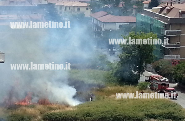 Lamezia: Al fuoco terreno in via Peronaci
