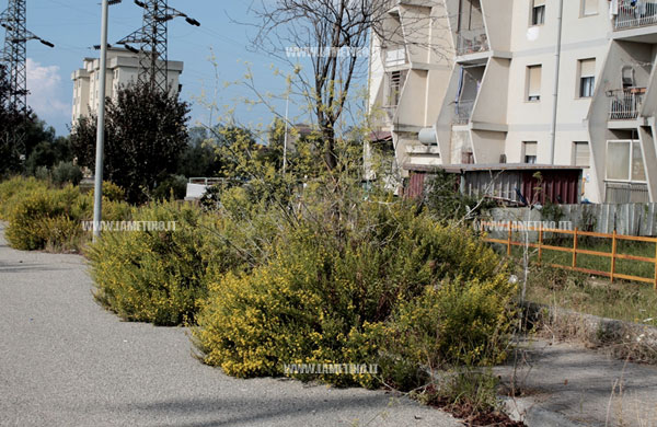 via-pertini-ottobre-2014-7.jpg