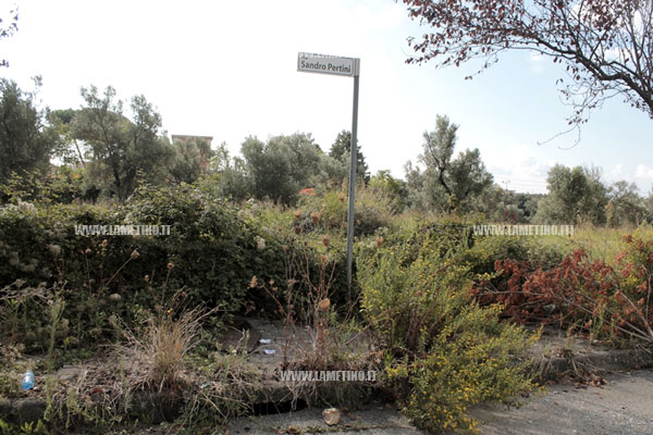 Lamezia: Via Pertini, quando le erbacce prendono il posto dei pedoni