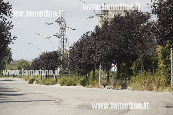 via-sandro-pertini-2014-4.jpg