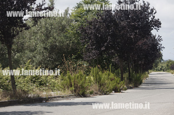 via-sandro-pertini-2014.jpg