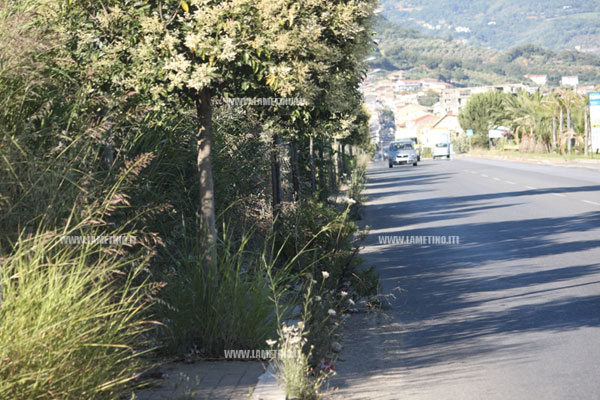 via-terme-erbacce-lamezia-2.jpg