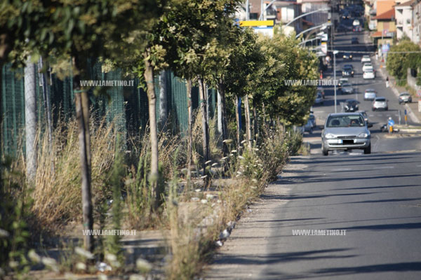via-terme-erbacce-lamezia-4.jpg
