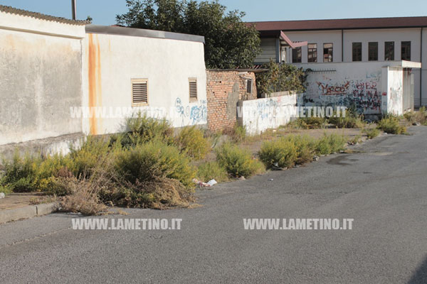 Lamezia: Rifiuti ed erbacce in area mercatale e in via Vercillo