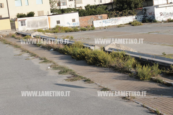 via-vercillo-erbacce-10.jpg