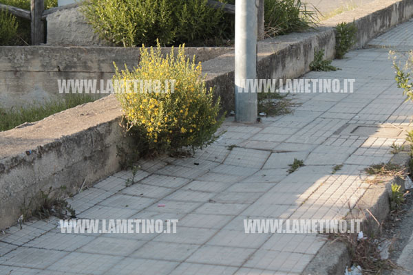 via-vercillo-erbacce-11.jpg