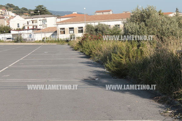 via-vercillo-erbacce-4.jpg