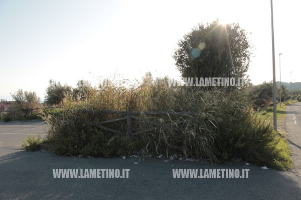 via-vercillo-erbacce-6.jpg