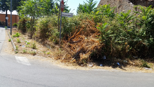 Lamezia: Giovani Udc "bacchettano" Amministrazione comunale su incuria e degrado 