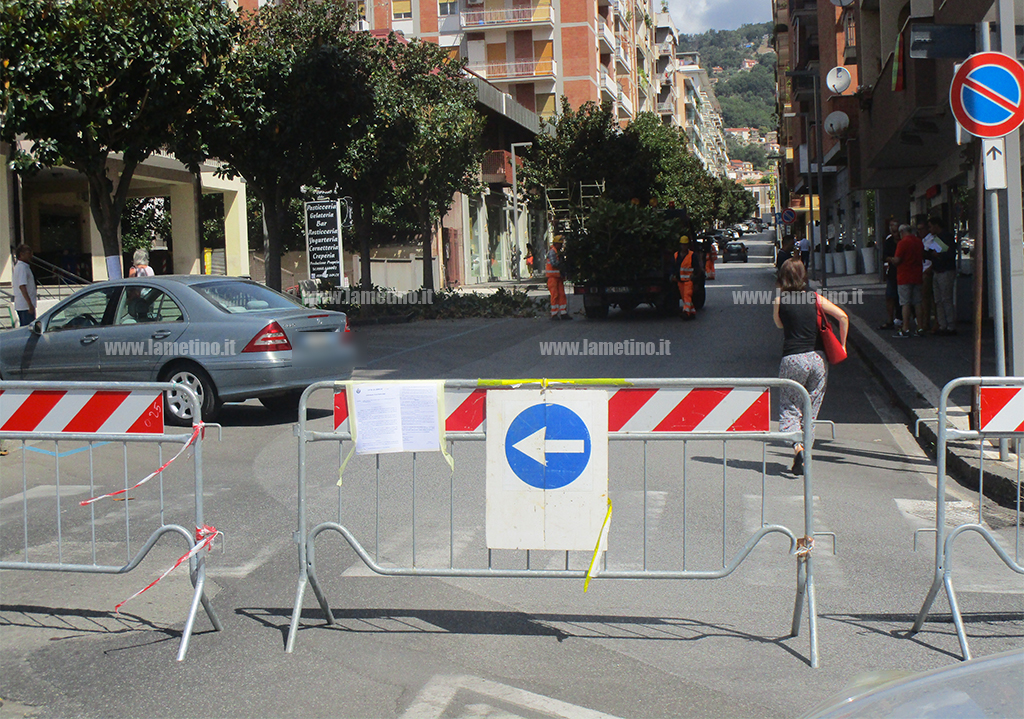 Lamezia, via XX Settembre chiusa al traffico per potatura alberi: la protesta dei commercianti