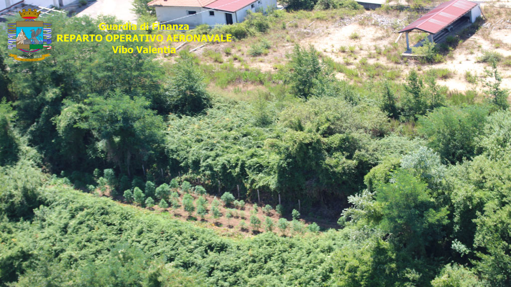 vibo-2.jpg