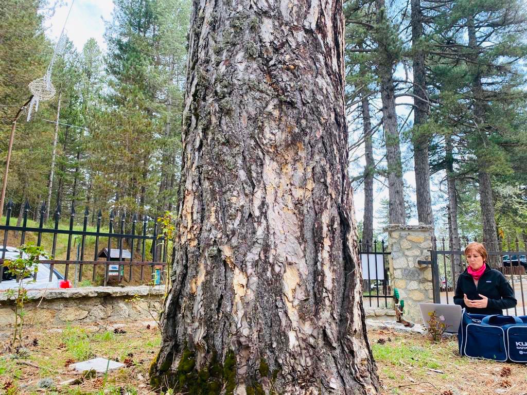 Progetto “Stanze a cielo aperto”, videolezioni dalla natura per alunni scuola primaria dei Comuni del Parco Nazionale Sila