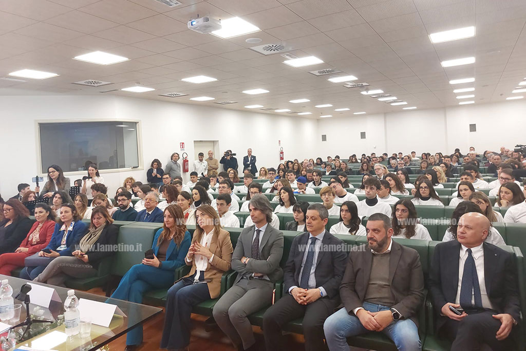 viggi-bruxelles-regione3.02.24_a0c9c.jpg