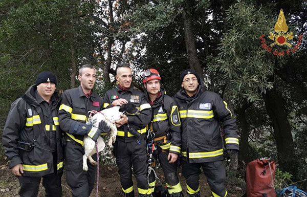 vigili-1.jpg