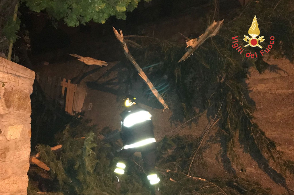 Albero colpito da fulmine si spezza e blocca accesso abitazione nel catanzarese, intervengono vigili del fuoco