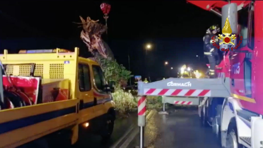 vigili-del-fuoco-albero-2019.jpg
