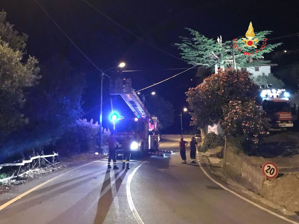 vigili-del-fuoco-albero.jpg