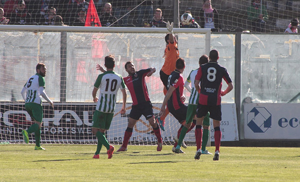 vigor-cosenza-2.jpg