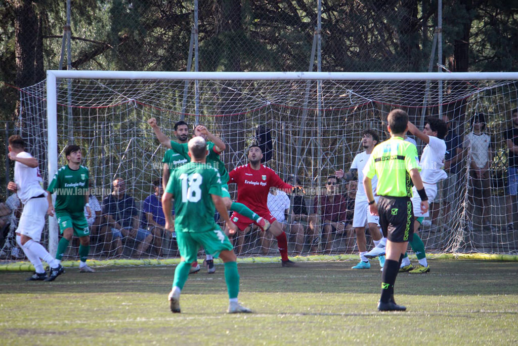 vigor-lamezia-10920237dddc9b3_a9ef6.jpg
