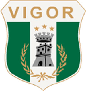 vigor-logo.jpg