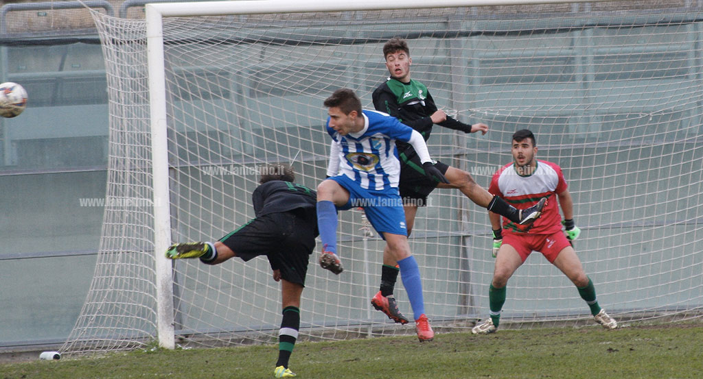 Vigor Lamezia fermata dalla Luzzese, al D'Ippolito termina 1-1