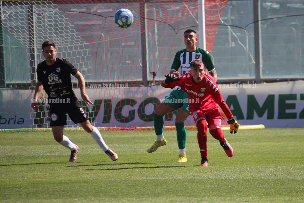 vigor-portiere-21424_f7345.jpg