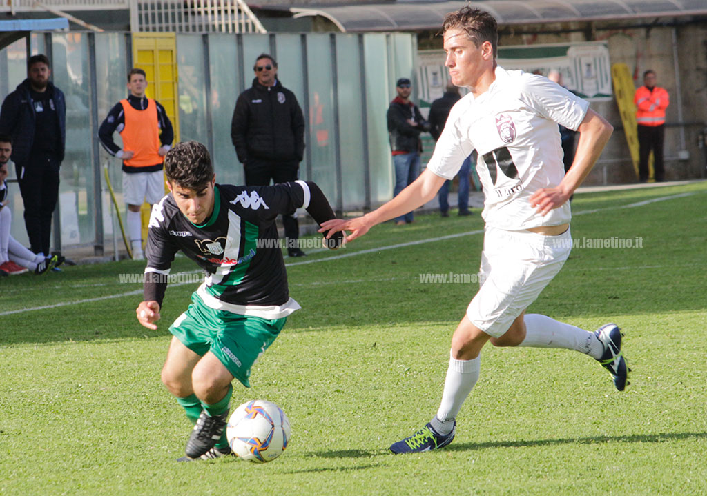 vigor2-05052019.jpg