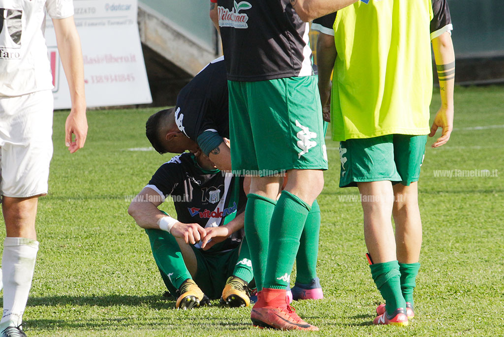 vigor3-05052019.jpg
