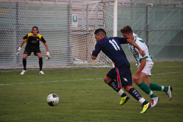 vigor_crotone_caccavallo-controllato-da-cane