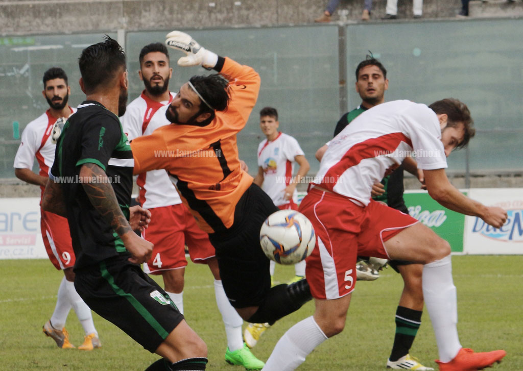 vigorcutro2.jpg
