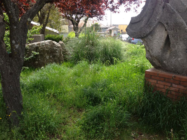 Calabria: Circolo Pd Girifalco chiede più attenzione al verde pubblico