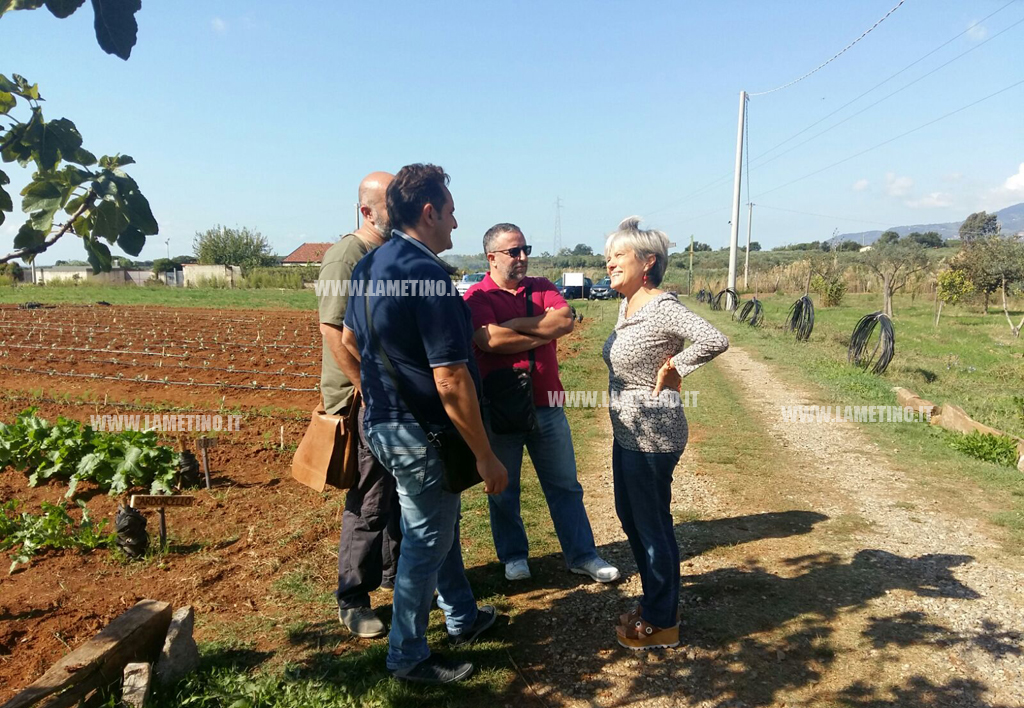 visita-le-agricole.jpg