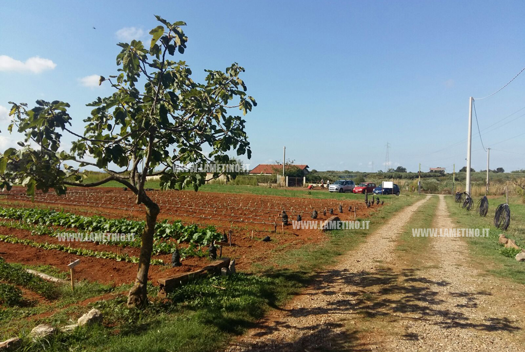 visita-le-agricole1.jpg