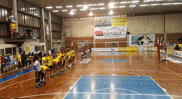 volley.gif