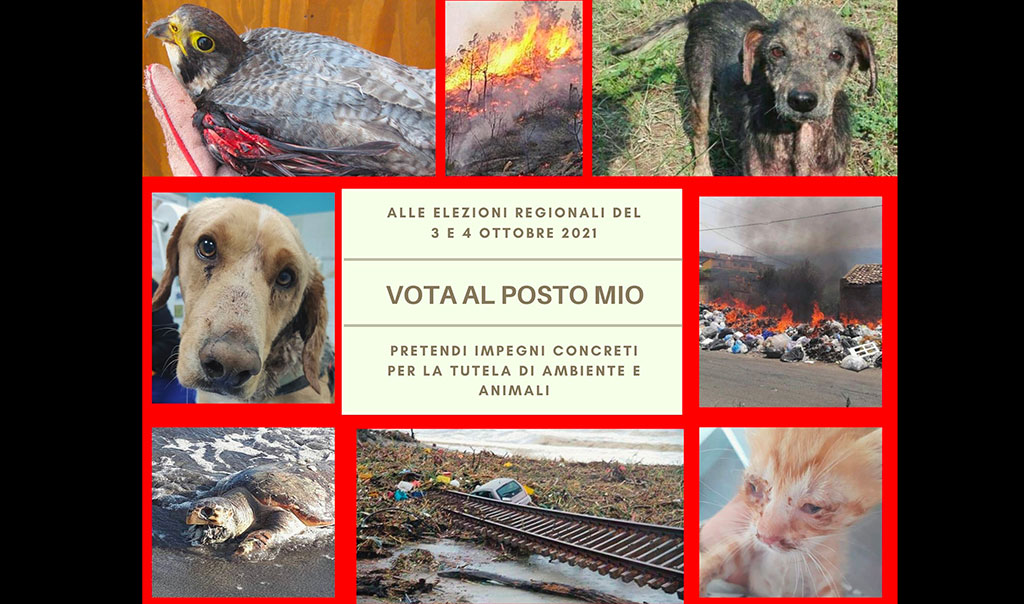 Regionali, associazioni ambientaliste e animaliste calabresi scrivono ai Candidati e lanciano hashtag #VotaAlPostoMio