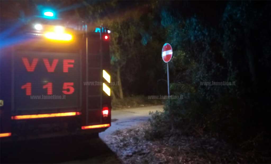 Lamezia, in fiamme nella notte la pineta di Ginepri: 4 i focolai