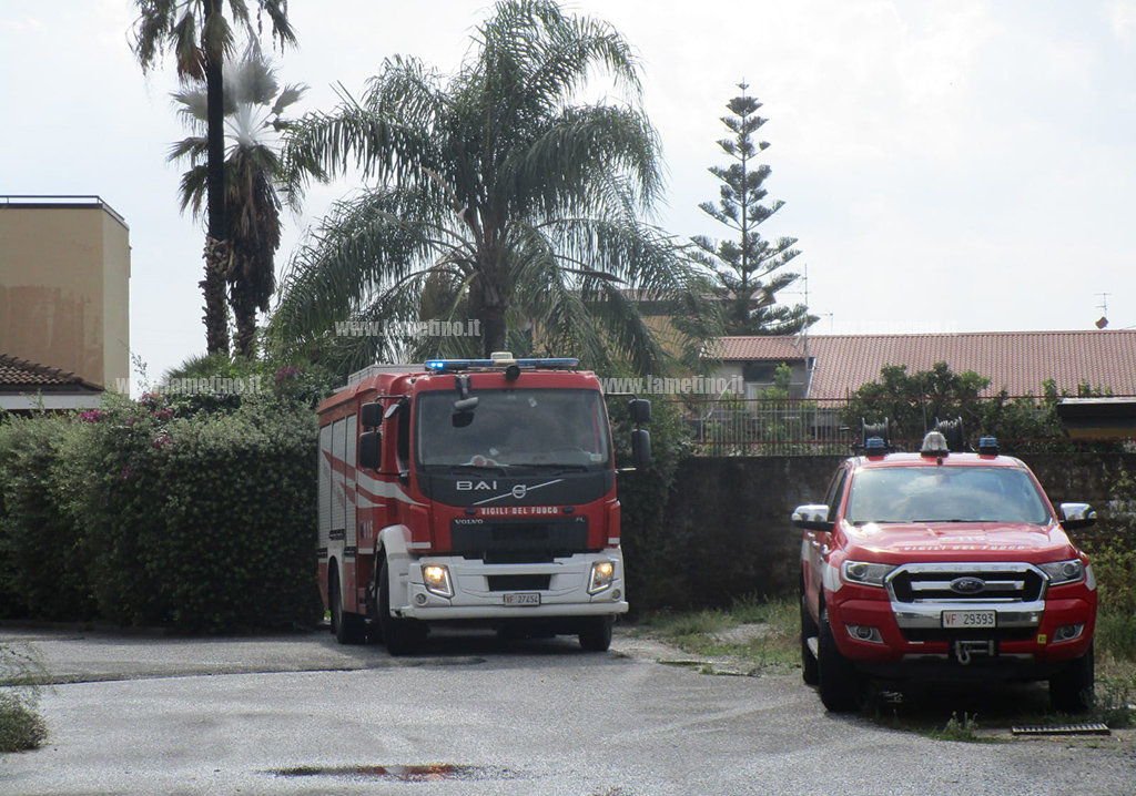 vvf-albero-fulmine8a0edd03cc_93397.jpg