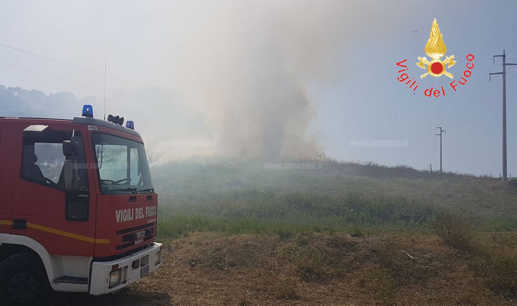Vasto incendio distrugge arbusti e macchia mediterranea vicino centro abitato a Catanzaro