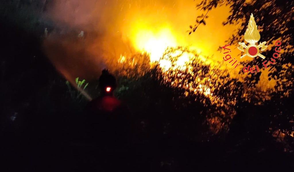 Incendio nella presila catanzarese, vigili del fuoco a lavoro nella notte