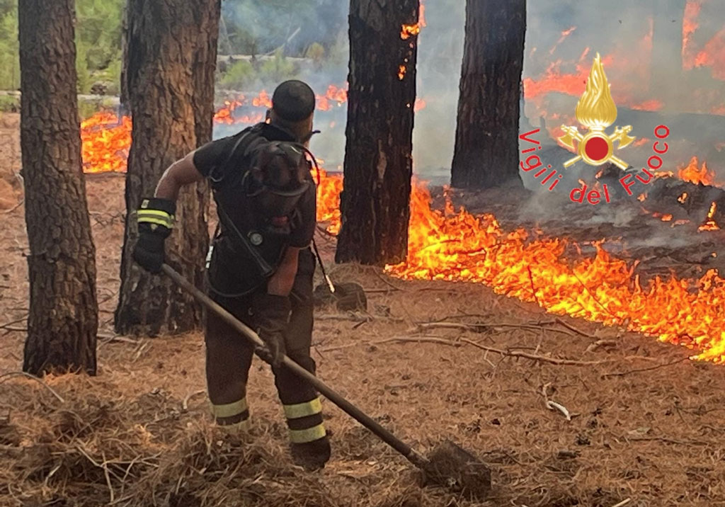 Vasto incendio di bosco e macchia mediterranea nel Reggino lambisce aziende agricole e case 