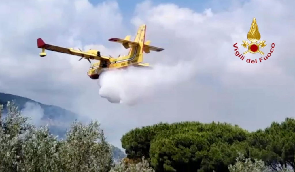 Vasto incendio al parco della Biodiversità Mediterranea di Catanzaro - VIDEO