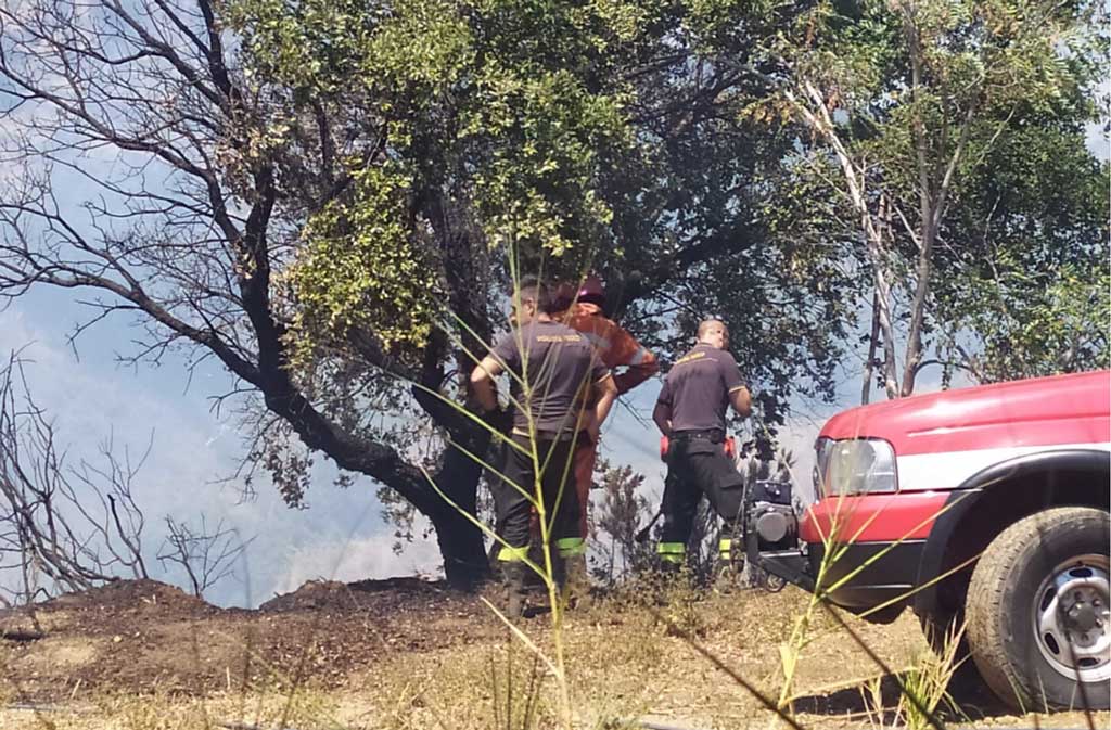 La Calabria continua a bruciare, vasto incendio distrugge macchia mediterranea e arbusti a Tiriolo