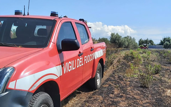 In fiamme uliveto a Cessanti, vigili del fuoco salvano anziano