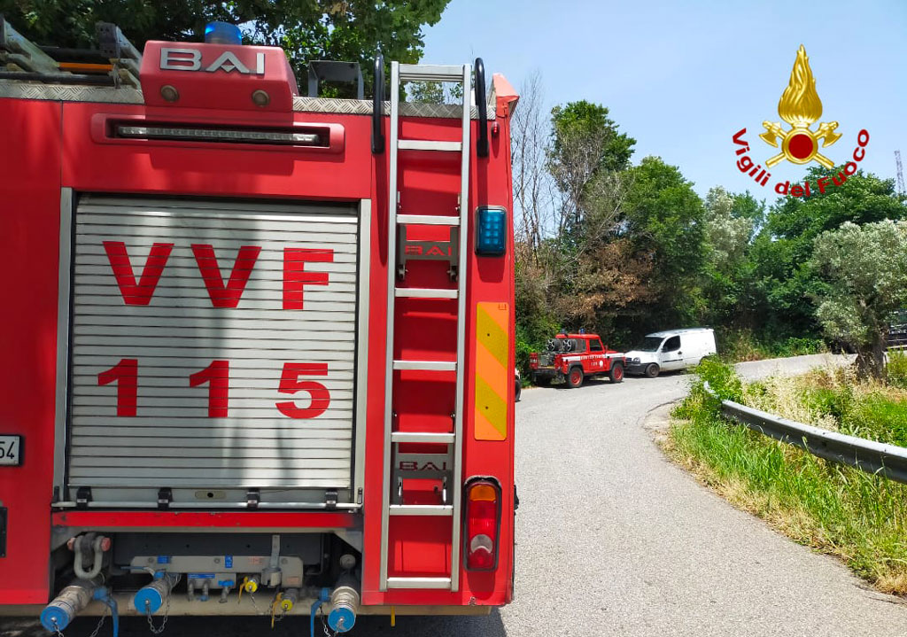 vvf1132189b4ff1_14695.jpg