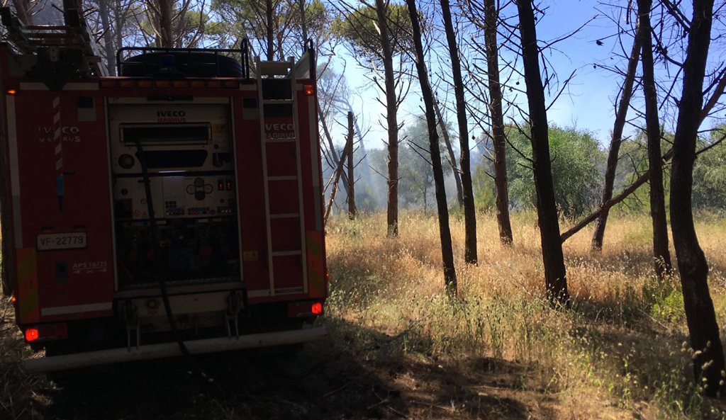 Lamezia, incendi di sterpaglie in pineta area ex Sir: diversi gli interventi dei Vvf