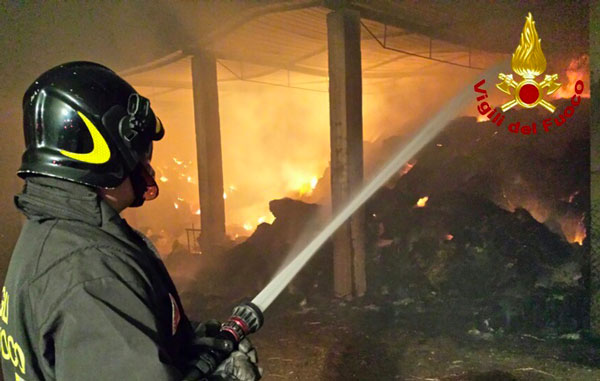 Incendiato capannone agricolo a Mileto, danni a struttura 