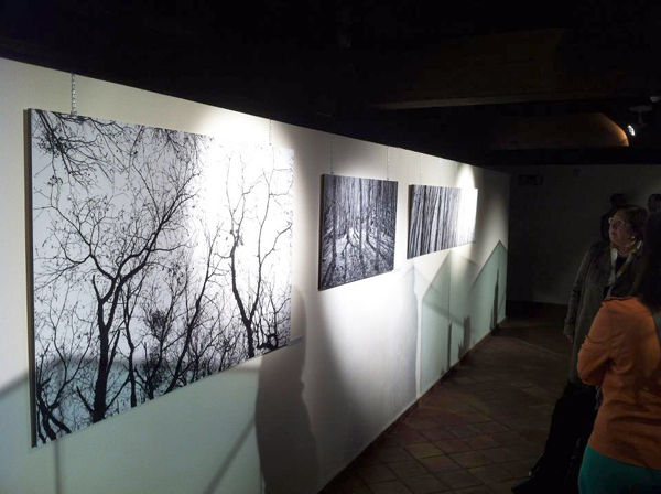 Lamezia: Young at Art, tre giovani artisti lametini in mostra al Maca